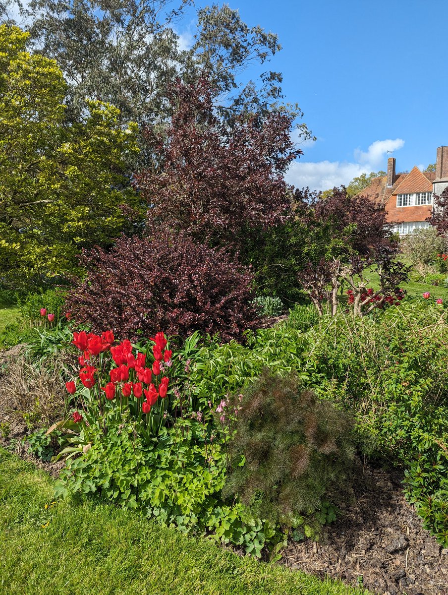 It's our Plant Fair today. It all starts at 10am at Boldshaves, Woodchurch, Kent TN26 3RA Please come along tickets £10 available on the gate 10 nurseries selling a wide variety of plants and sundries in this fabulous garden. Lunches available 
Look forward to seeing you there