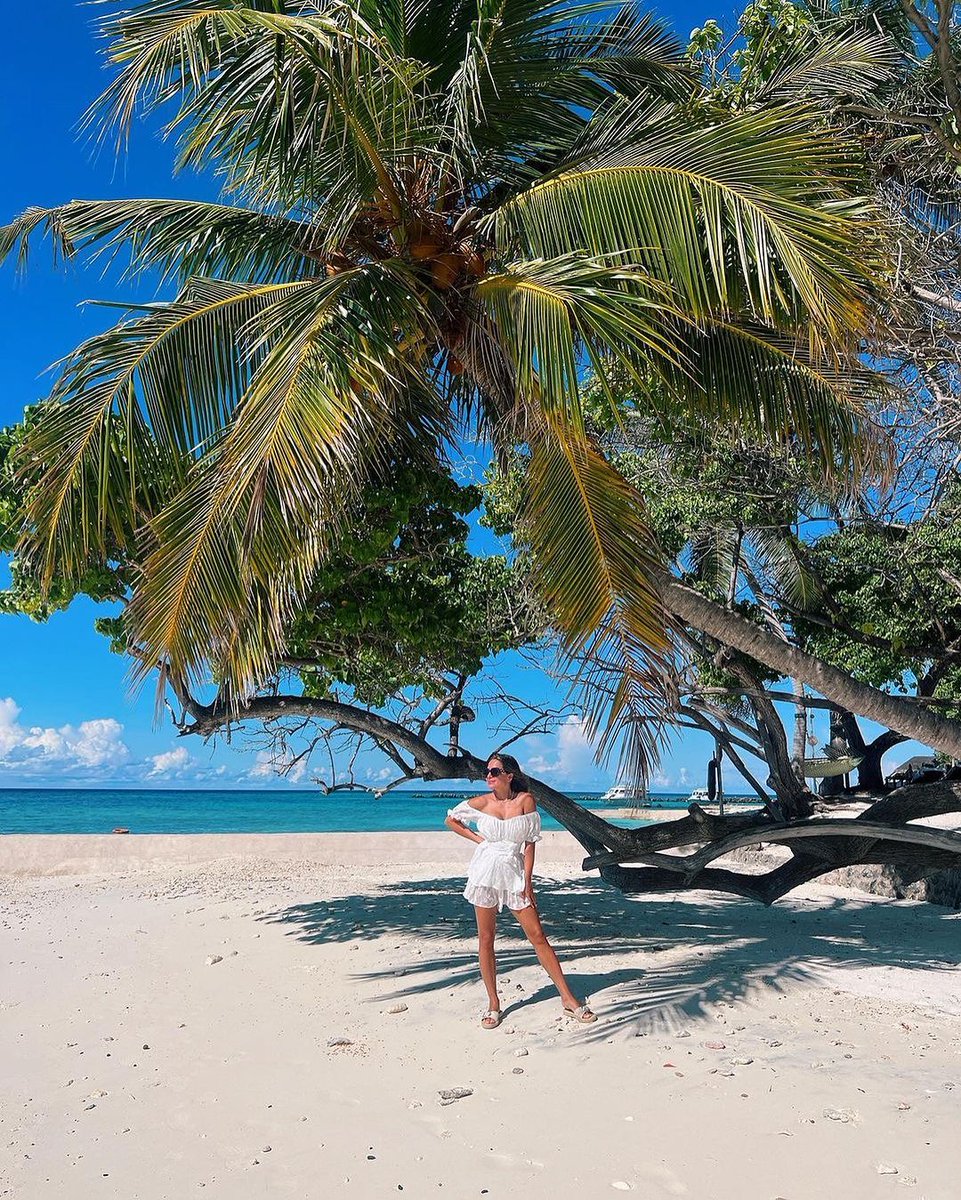 Only sunny days ahead! ☀✨

📸: @tajcoralreef

#MaldivesVirtualTour #Maldives #VisitMaldives #Explore #TravelBlog #Traveller #TravelBug #LuxuryTravel #VacayGoals #BestOfMaldives #MustVisit #VacationMode #TajCoralReef