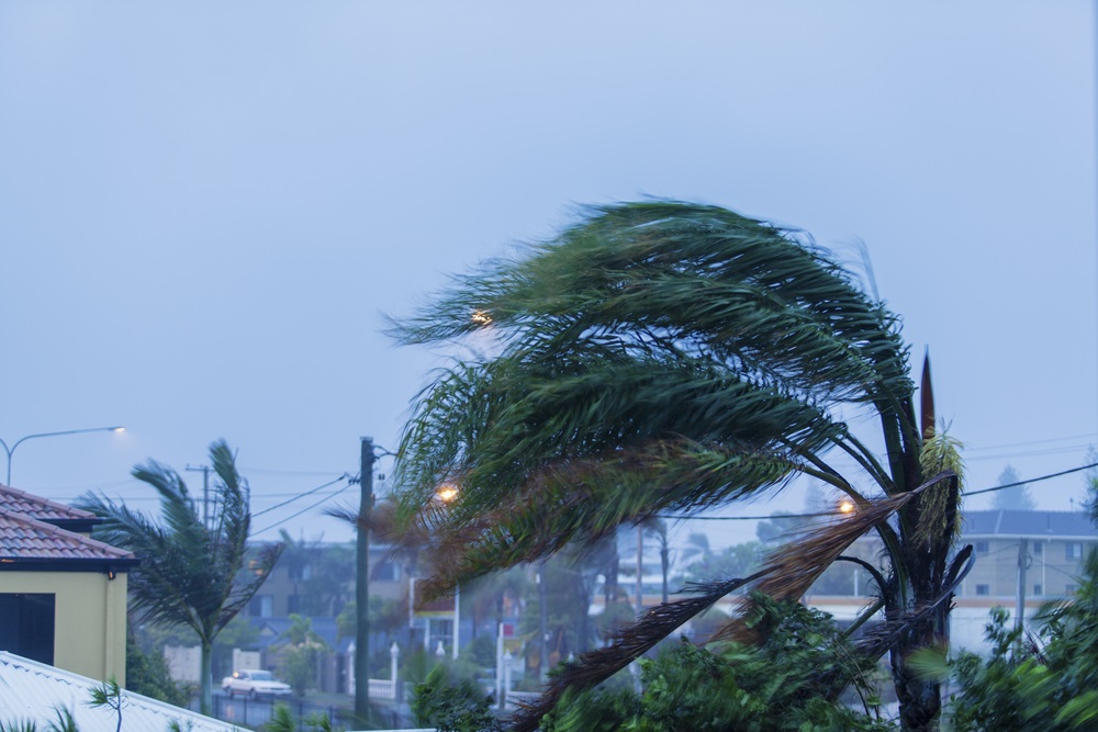 @ICAUS welcomes the $60 million Strata Resilience Program announced today by @MurrayWatt & @meaghan_scanlon. This program supports #strata title property owners in North #Qld to better protect their properties from #cyclone. This is important because reducing #risk is key to…