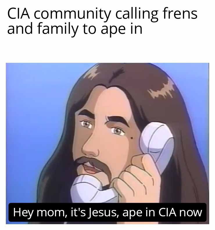 FrankFURCIA's tweet photo. @GbhoyDownUnder We are so back 

$CIA 

#Memecoins https://t.co/SYud6LPPZO