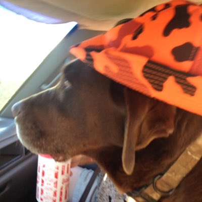 BM18vm's tweet photo. #NewProfilePic https://t.co/Va6GBzsQhT