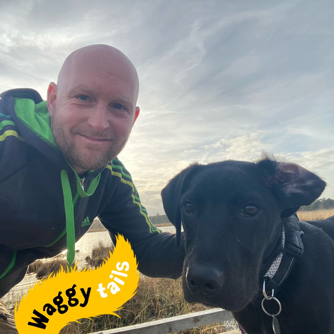 Shadow (was Sooty) was adopted from us as a pup from us back in December and is absolutely loving life in his furever home. Looks like he's going on lots of great adventures. #LabradorCrossTrailhound #WaggyTails