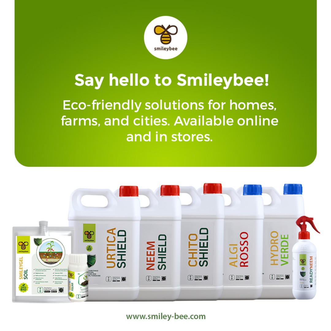SmileyBeeLtd's tweet photo. Strawberry plants progress through stages from germination to maturation, needing protection. Our products support growth &amp; pest defense. Smileybee offers eco-friendly solutions for homes, farms, and cities, promoting sustainable living. 

#Smileybee #StrawberryJourney https://t.co/P5QLCxf6Ij