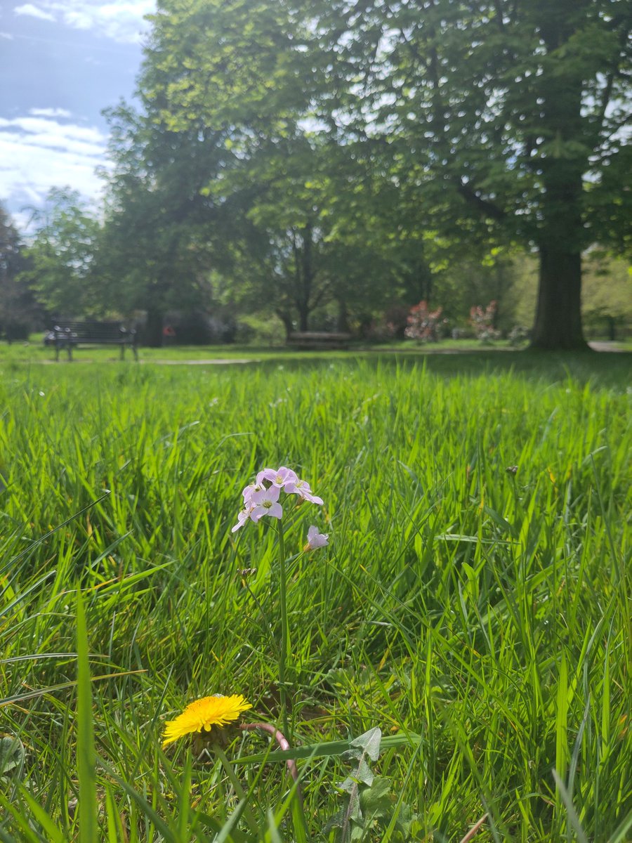 Nina Schönberg tweet media