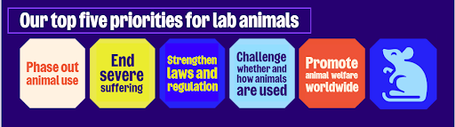 Today is World Day for Animals in Laboratories. Over the past decade, an estimated +1 billion lab animals have been used globally. Much more needs to be done to reach a place where important science is done without causing suffering to sentient animals.