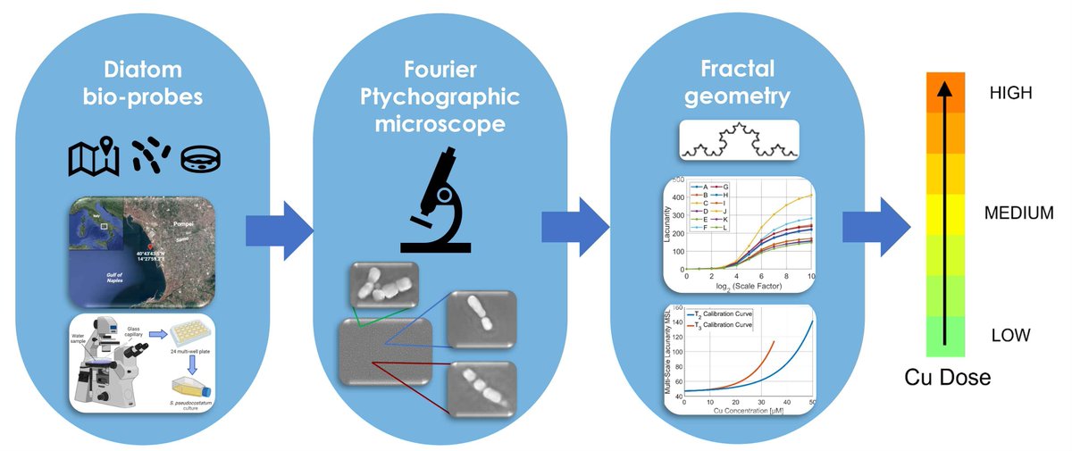 Vindunno's tweet photo. #Microalgae Sentinels: A #Biodetection Tool for #HEAVYMETAL Contamination in #Water 👇🔎🌍🌋https://t.co/JHadxutG8p https://t.co/XnzZC4RQ2P