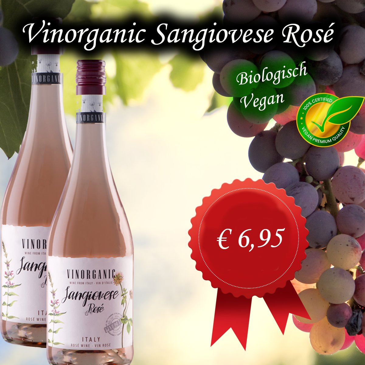 Vinorganic Sangiovese rosé
wijnhandelgrandcave.nl/italie/vinorga…
 #italianwine #wine #winelover #vino #winetasting #winelovers  #winetime #instawine #vinoitaliano #italy #winestagram #winery #italia  #wineoclock #wineporn #winelife #wein #vin  #madeinitaly #winepassion #wines