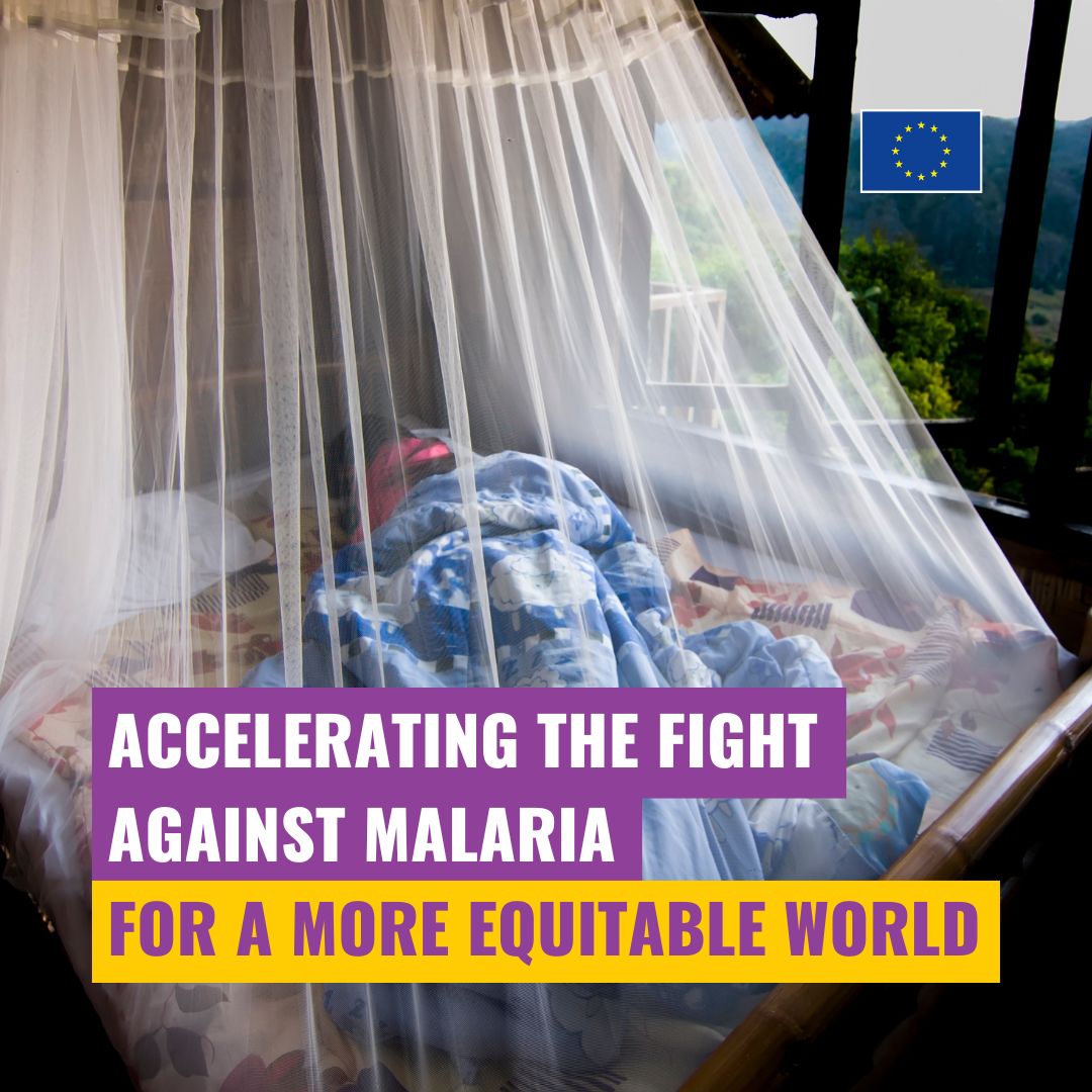 No one should die from a mosquito bite.🦟🚫 In 2022, there were 608,000 #Malaria deaths, 95% of them in Africa. But Malaria is both preventable and curable. Through #GlobalGateway, the EU supports partner countries in making quality health services accessible to all.