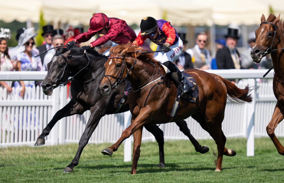 The King and Queen's Royal Ascot winner Desert Hero will face six rivals on his comeback in the bet365 Gordon Richards Stakes, including Group 2 winner Israr.