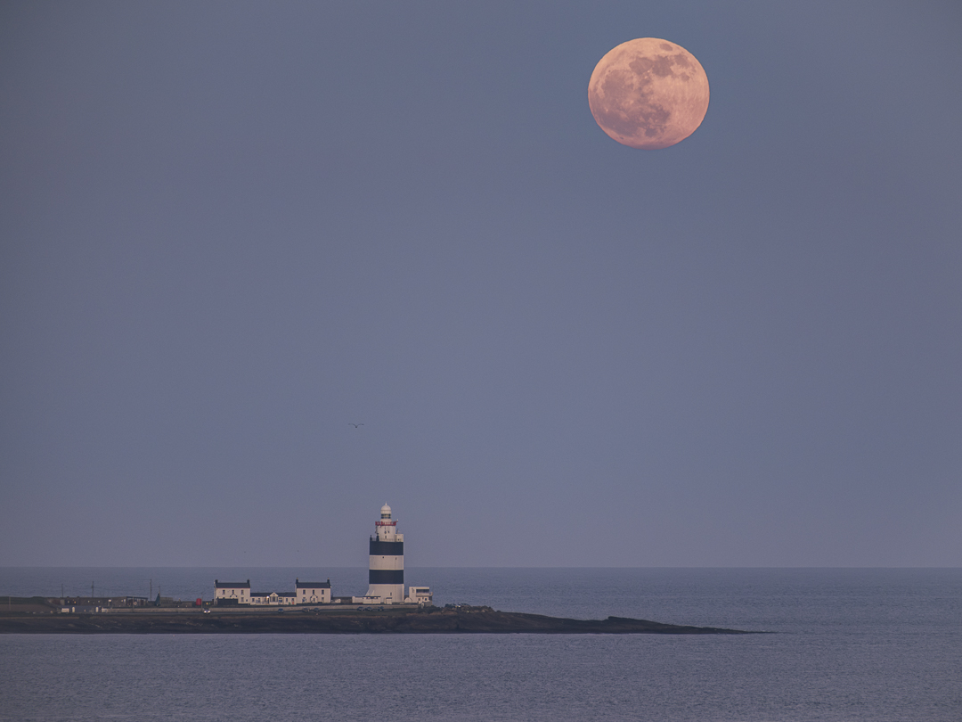 Last night's full moon over the Hook. Unfortunately, too much haze for a lighthouse alignment.
#fullmoon #pinkmoon #ireland #hookhead #wexford #waterford #dunmoreeast #IrelandsAncientEast