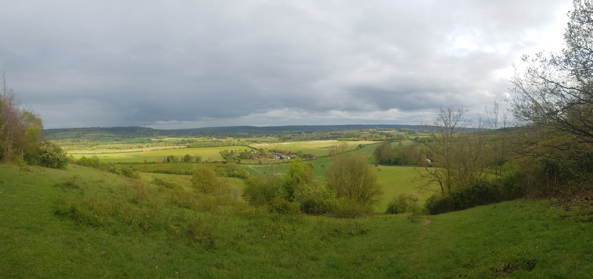 Took in the beautiful Polhill Bank on my walk again last evening. It really is one of my favourite spots in Kent, or indeed England. (another panorama!). @KentWildlife @kentwalkslondon
