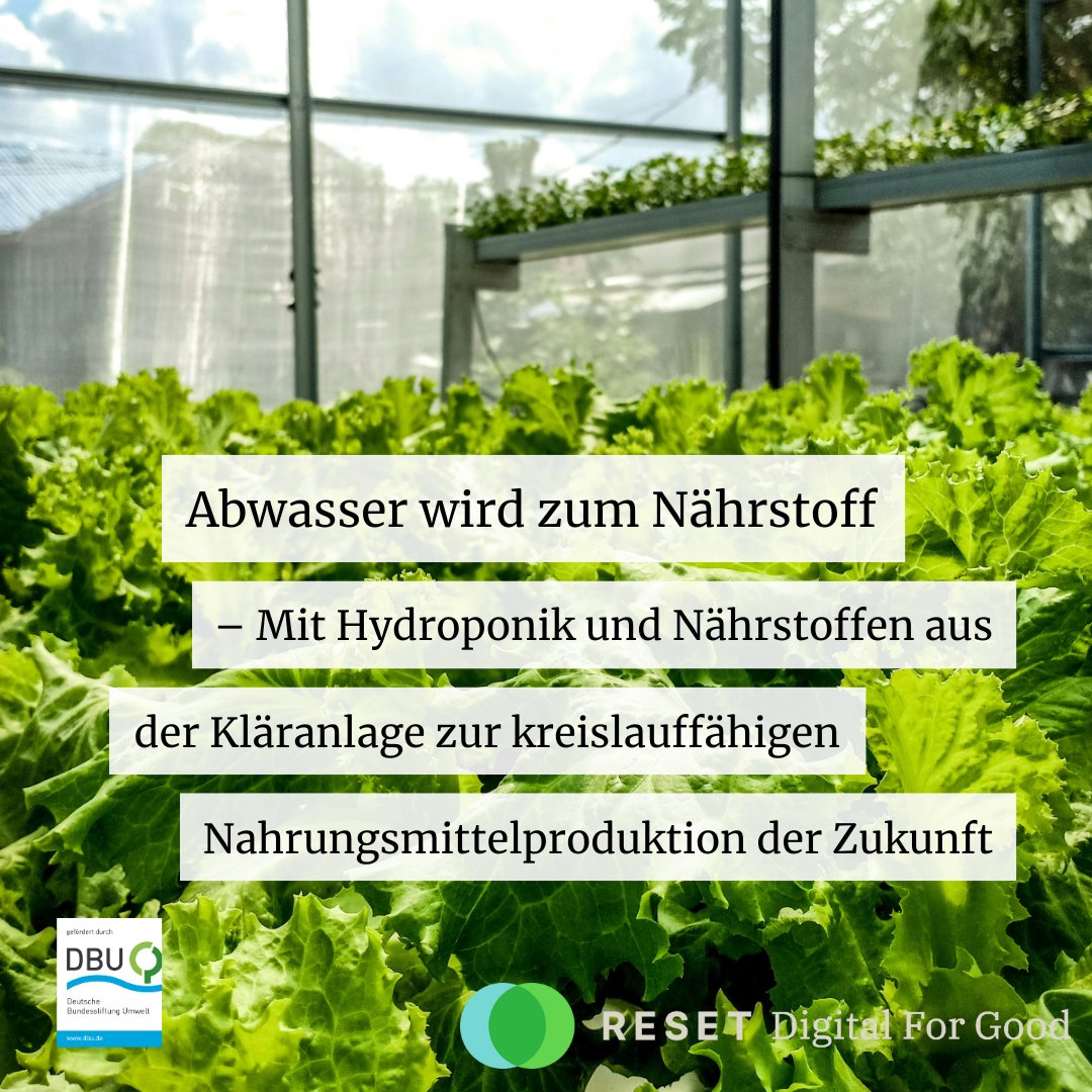 #SUSKULT: #Indoor #Kultivierungssystem mit #Nährstoffen aus der #Kläranlage 🍅🥬

 '#Landwirtschaft als #Kreislauf verstehen' und weitere #Artikel im #Greenbook #Agrarwende
👉 reset.org/topics/agrarwe…

@rptu_kl_ld @Fraunhofer @HS_Osnabrueck @DFKI @jlugiessen @umweltstiftung