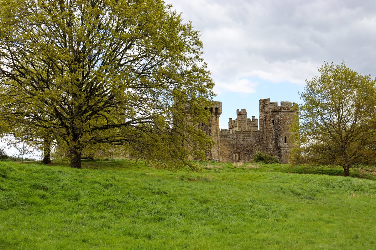 Have you explored the parkland and wider landscape around Bodiam Castle? Discover wetland, grassland, veteran trees and deadwood habitats, alongside archaeological features and walking routes. The combination of environments provides food, breeding sites and shelter for wildlife.