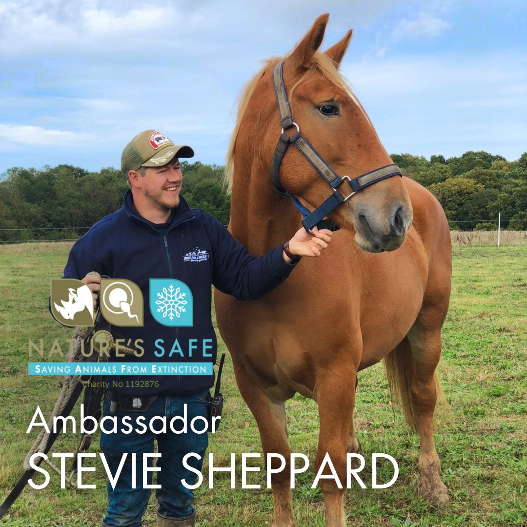 We are so pleased to announce that we have two new ambassadors on board from one of our partner zoos, Jimmy's Farm & Wildlife Park - Jimmy Doherty and Stevie Sheppard! Read more here: natures-safe.com/post/jimmy-doh… #keepnaturesafe