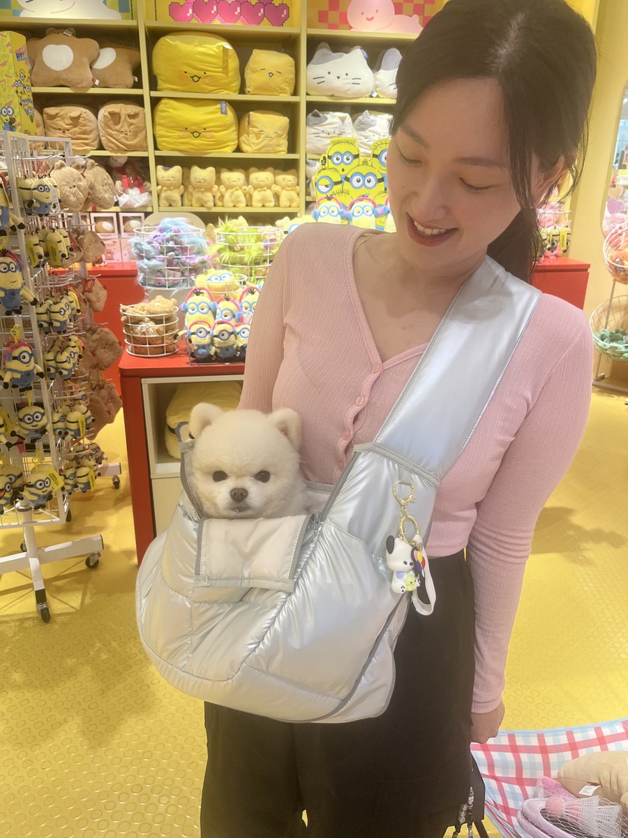 At first glance I thought it was a stuffed toy. But no, it’s an actual dog