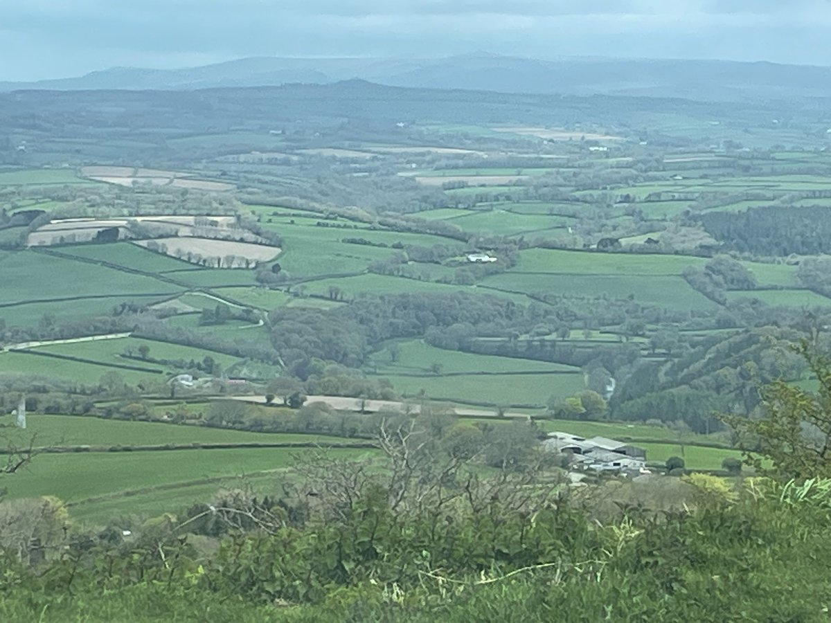 BaylisCook's tweet image. Picnic and a lovely view from Kit Hill in Cornwall. Can’t beat just admiring nature.