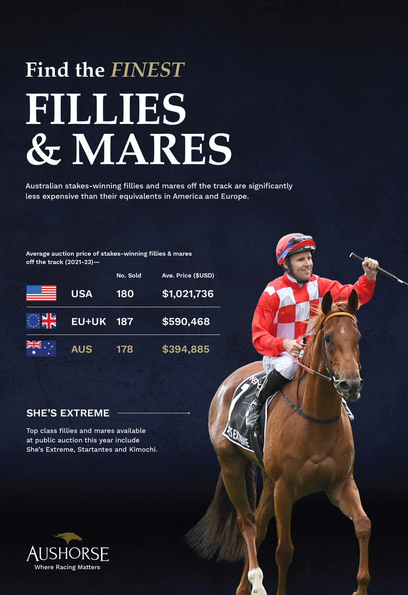 🇦🇺 @Aushorse_TBA - Find the finest fillies & mares 🇦🇺 Australian Stakes-winning fillies and mares off the track are significantly less expensive than their equivalents in America & Europe ‼️ See below for more info or visit ⬇️ aushorse.com.au #ReadAllAboutIt