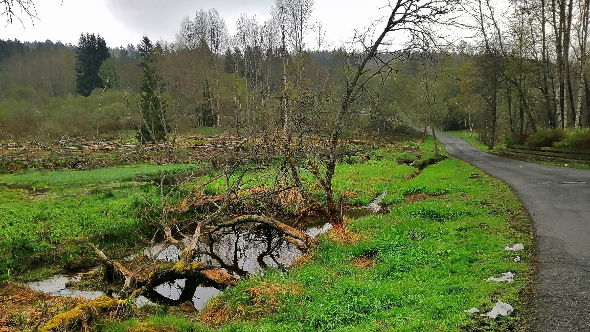 Železnorudské mokřady.
#sumava #zeleznorudsko #nature