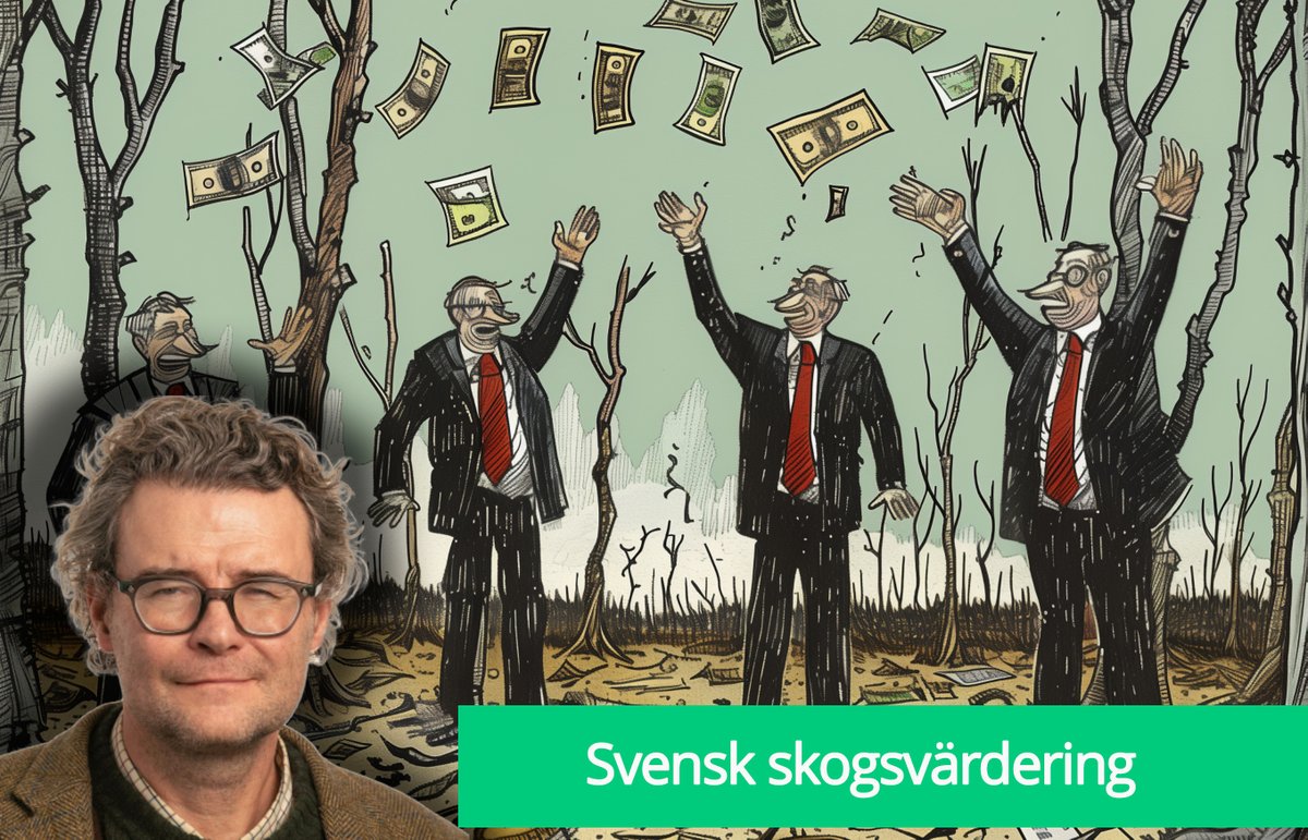 Ny krönika från <a href="/lindvall_per/">Per Lindvall</a> om skogsbolagens skogsvärdering. iskogen.se/kuriosa/svensk…