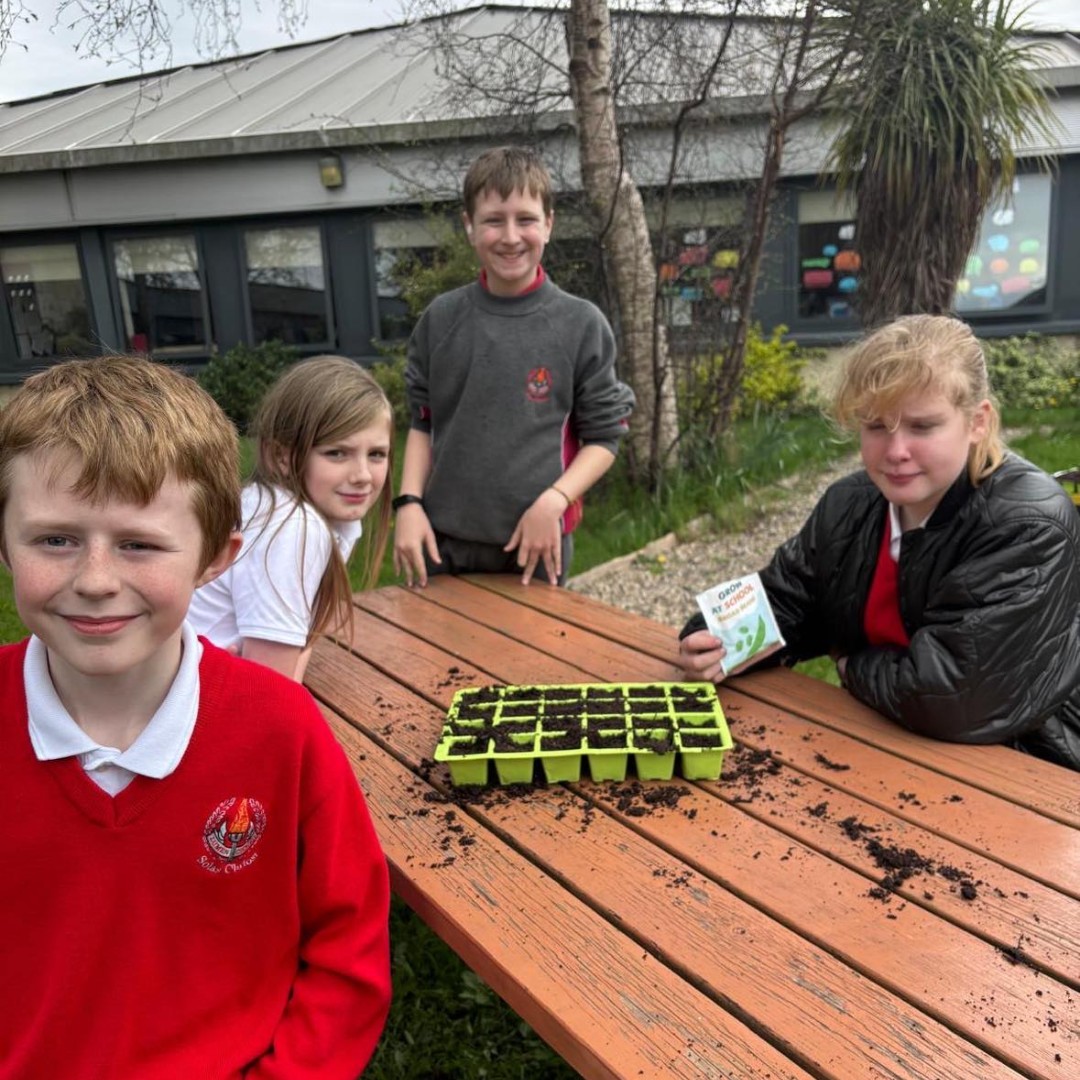 Mr.McDonnell's class in Solas Chríost NS, Tallaght enjoyed getting their hands dirty sowing seeds from their SuperValu Let's GROW kit. We love to see it! #SuperValuLetsGROW @SuperValuIRL