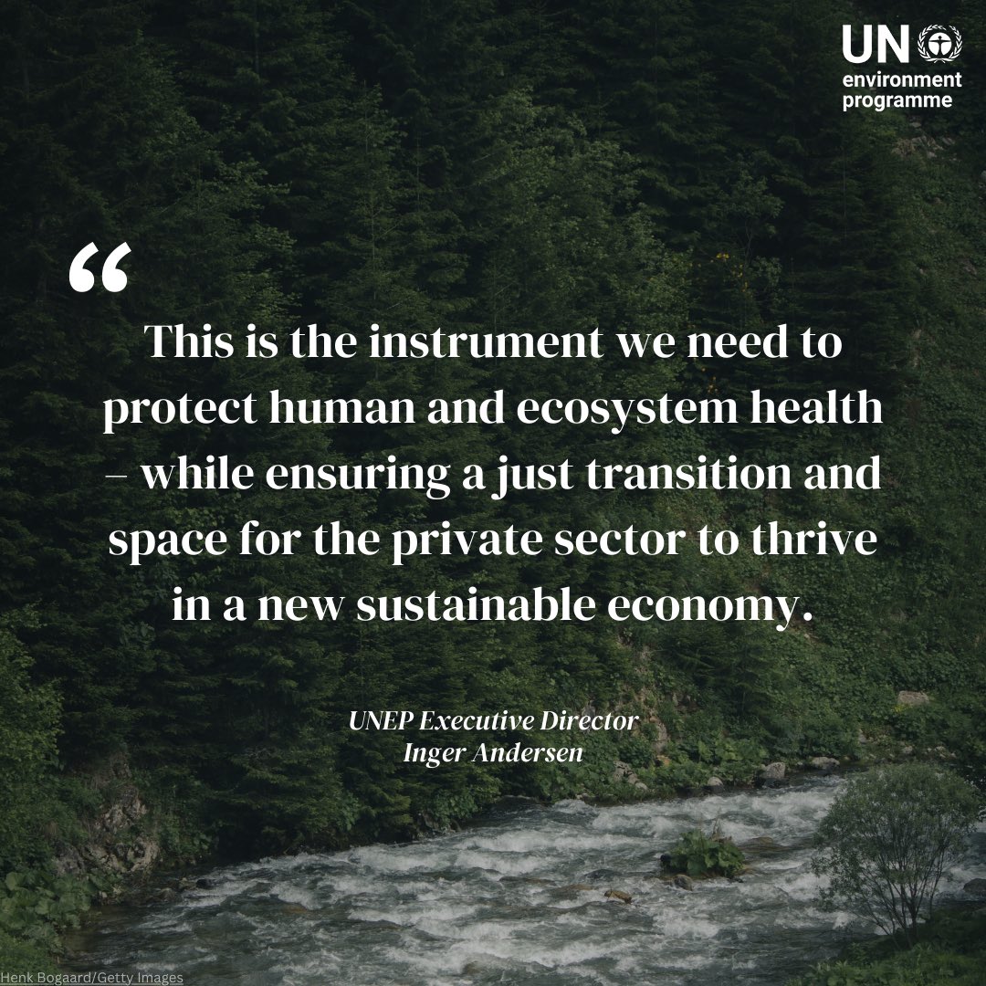 UN Environment Programme tweet media