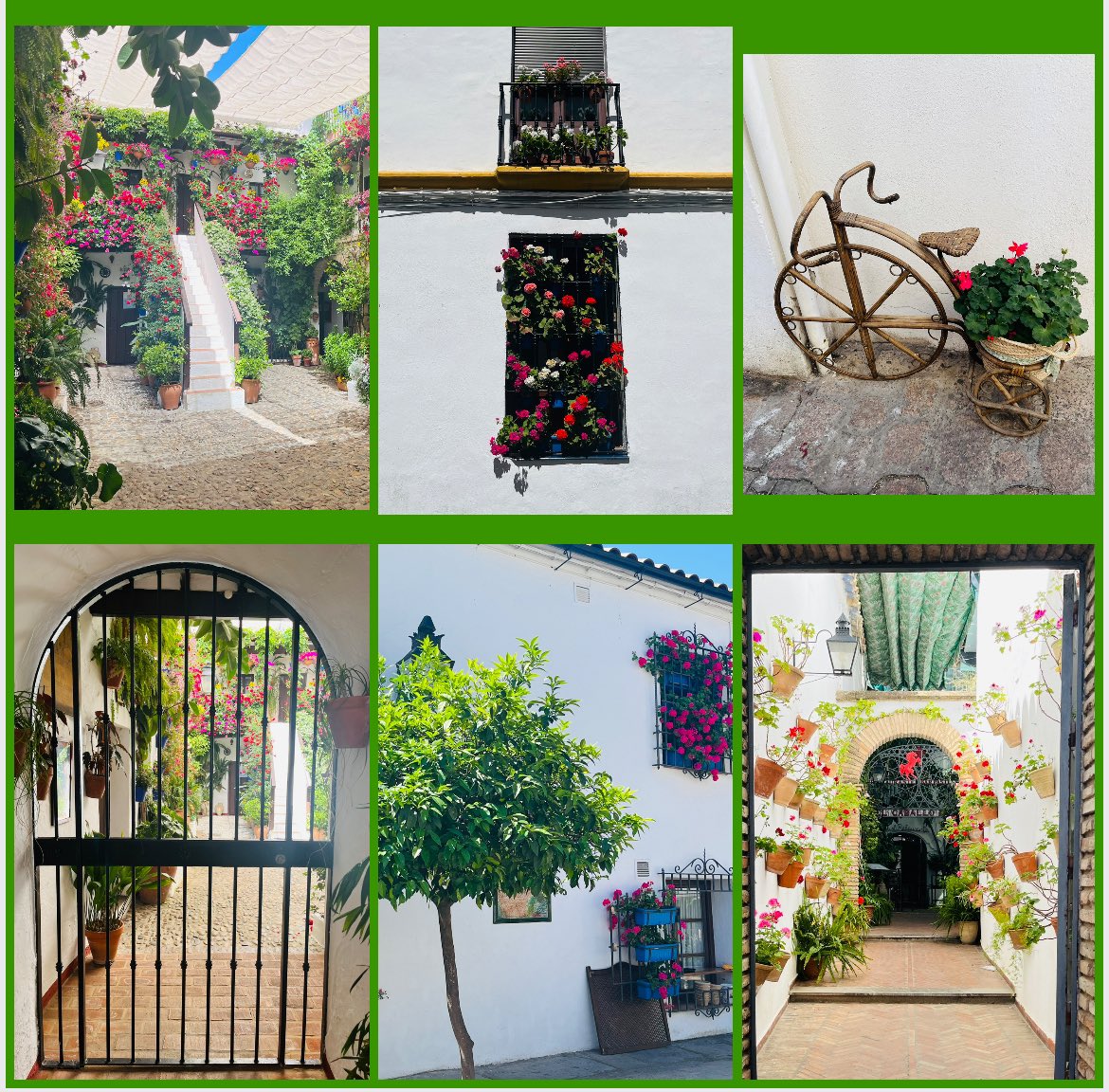 Just back from Córdoba and saw this - 50 years of floral patios 🌸🌼🌺💐just stunning 
#Flowers
#PatioCordobes 
Cordoba 24 | Patio Fest - Fiesta de los Patios 
cordoba24.info/english/html/p…