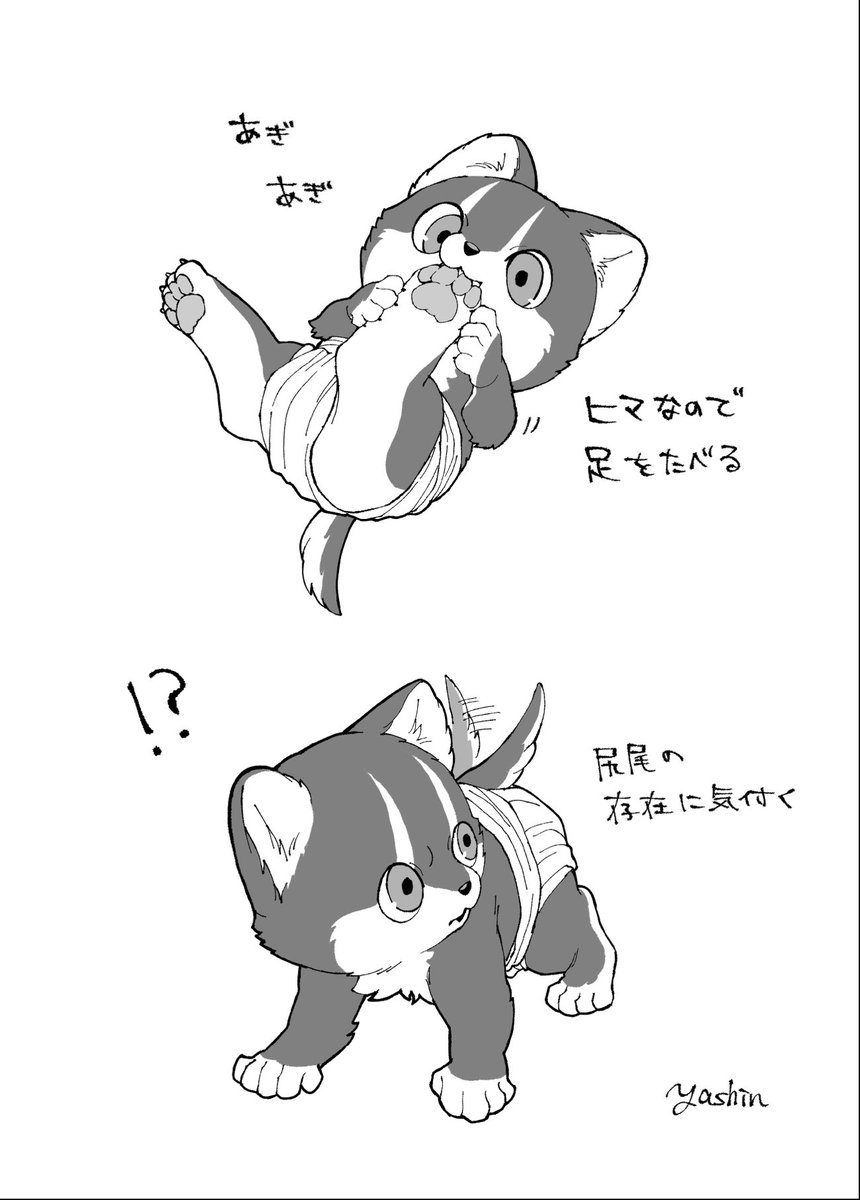 ちいこヴォルフの赤ちゃんしぐさ #でか獣