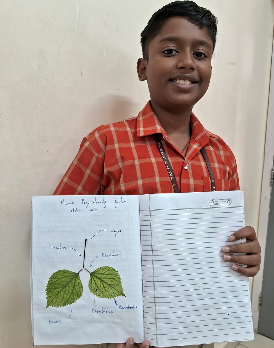SAI_Edu_In's tweet image. Exploring the intricacies of the Human Respiratory System, Class VII Cambridge SAIoneers embarked on an enlightening journey. Through hands-on craftivity, 
#CambridgeClassroom #Modelmaking #Learningthroughactivity
#Handsonlearning #ActiveLearning #engagedlearners
