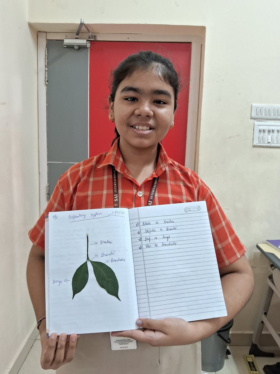 SAI_Edu_In's tweet image. Exploring the intricacies of the Human Respiratory System, Class VII Cambridge SAIoneers embarked on an enlightening journey. Through hands-on craftivity, 
#CambridgeClassroom #Modelmaking #Learningthroughactivity
#Handsonlearning #ActiveLearning #engagedlearners