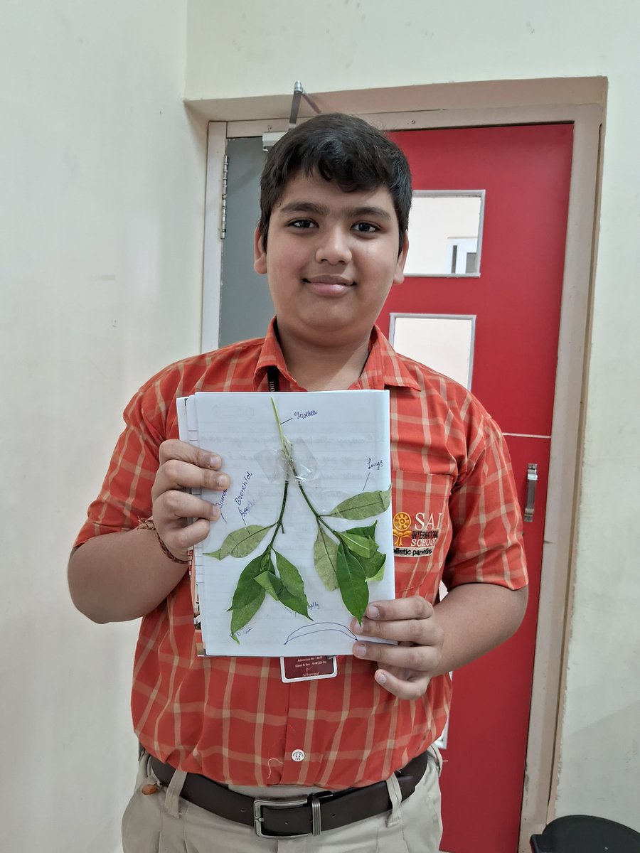 SAI_Edu_In's tweet image. Exploring the intricacies of the Human Respiratory System, Class VII Cambridge SAIoneers embarked on an enlightening journey. Through hands-on craftivity, 
#CambridgeClassroom #Modelmaking #Learningthroughactivity
#Handsonlearning #ActiveLearning #engagedlearners