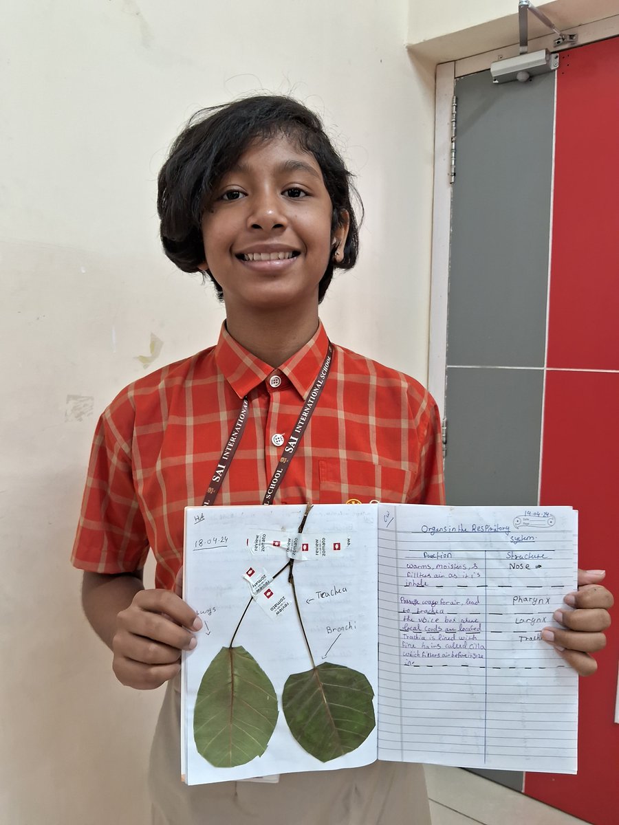 SAI_Edu_In's tweet image. Exploring the intricacies of the Human Respiratory System, Class VII Cambridge SAIoneers embarked on an enlightening journey. Through hands-on craftivity, 
#CambridgeClassroom #Modelmaking #Learningthroughactivity
#Handsonlearning #ActiveLearning #engagedlearners