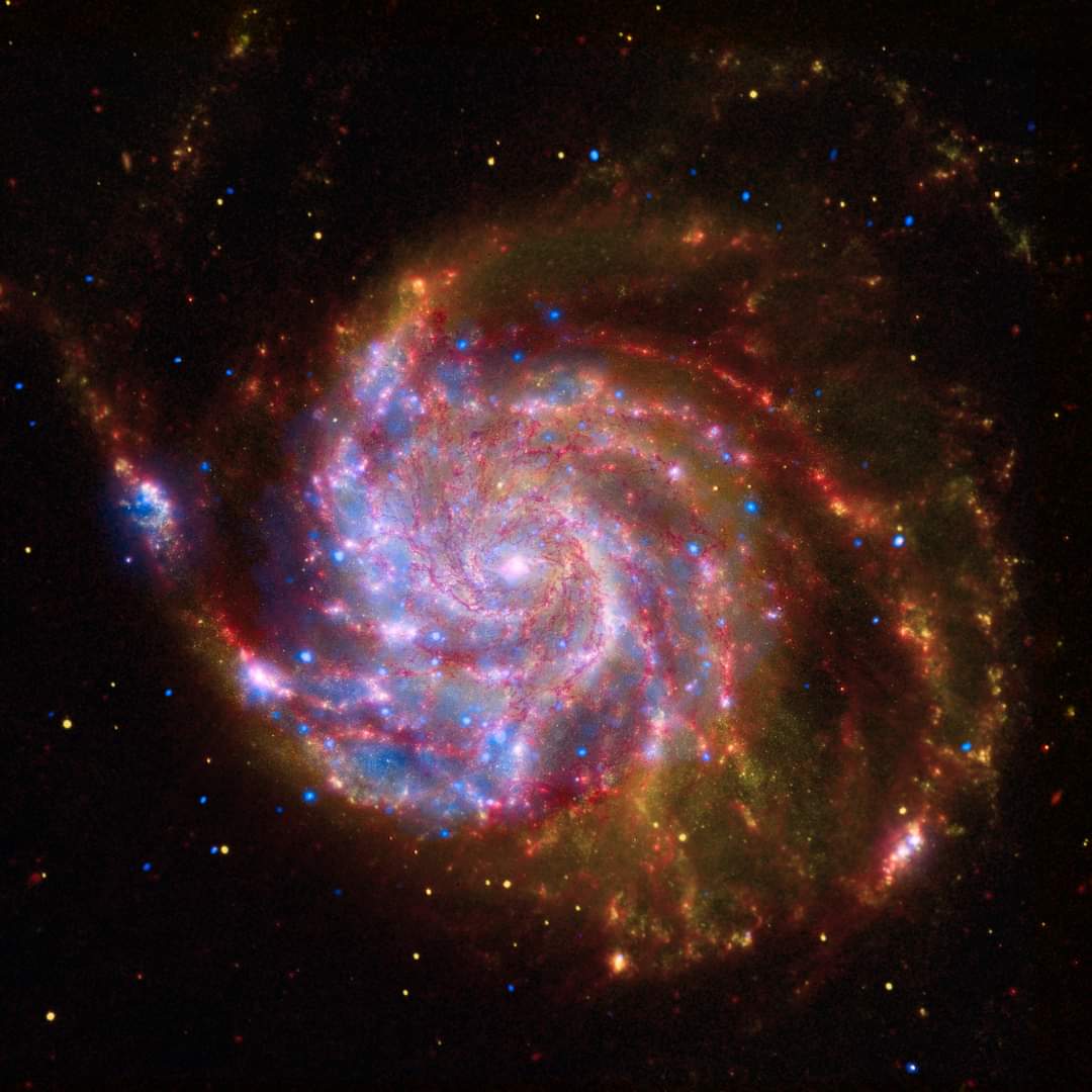 The Pinwheel Galaxy - A spiral galaxy in the constellation of Ursa Major.
#astronomy #Astrophotography