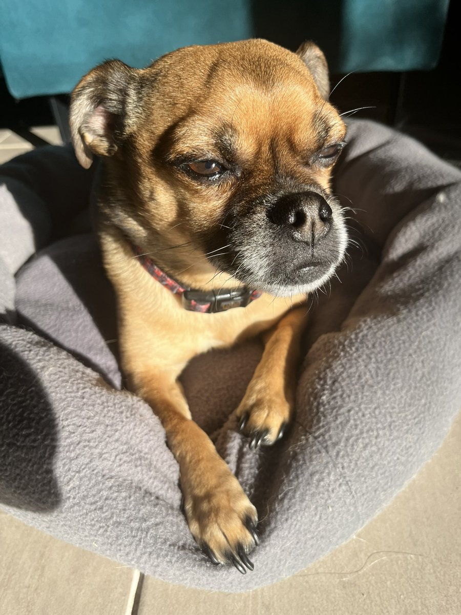 ‧₊☽ MoonFairy_x ☾₊‧ tweet media