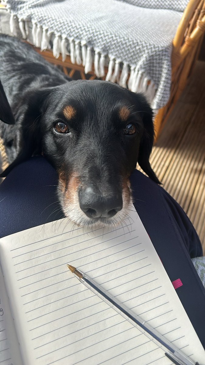 Little Letterbox Learning tweet media