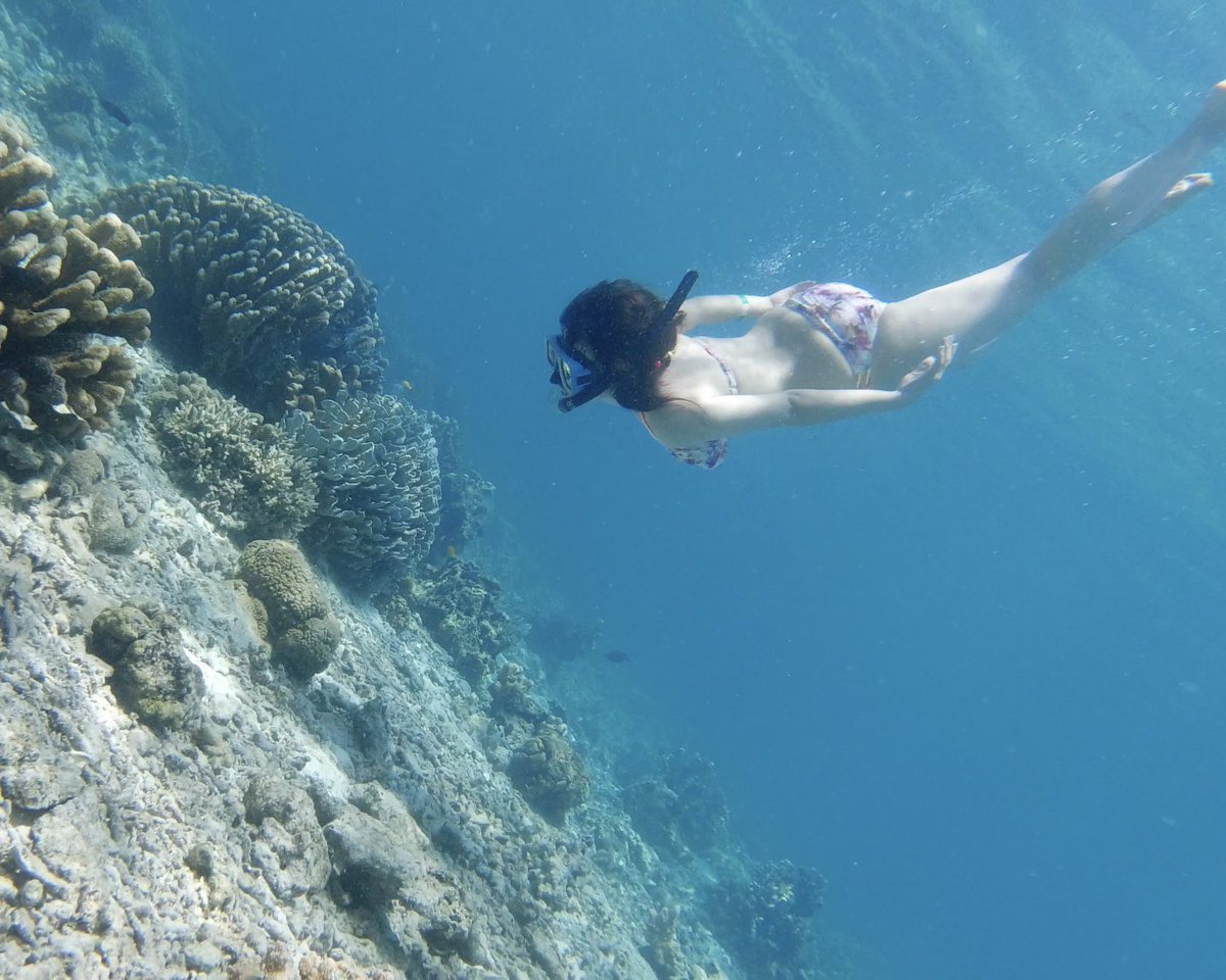 LikapanTrip's tweet photo. セブの #Sumilon Islandが天国みたい🤍
見て!この青い空に青い海がほんとに幸せすぎる。シュノーケルもできるからやってみてね🫶
#ぱんトリップ https://t.co/idxkBi61NY