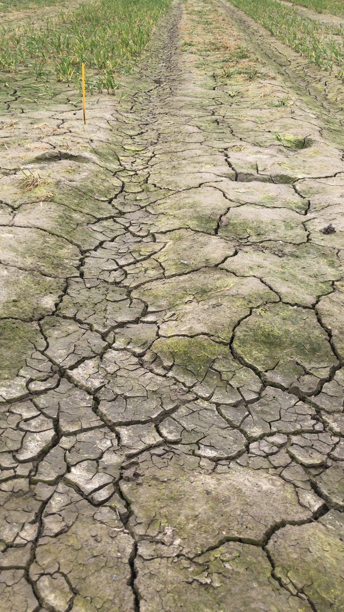 La sécheresse arrive … 😅
#FrAgTw