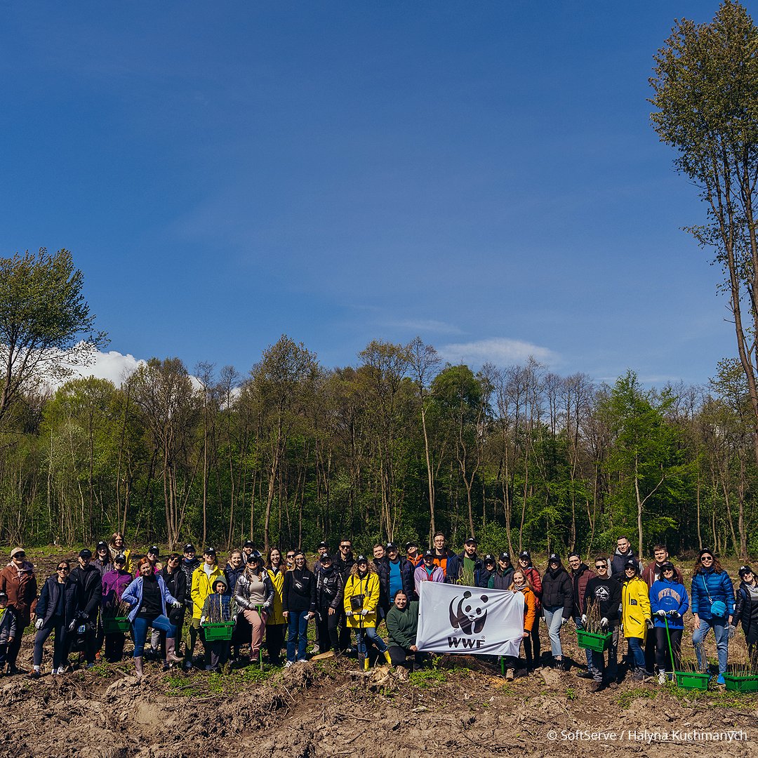 WWF-Україна та <a href="/SoftServeInc/">SoftServe</a>  відновили один гектар #лісу на Львівщині 🌳
Такий прояв співпраці  — один з етапів  роботи над Платформою відновлення лісів України, яку вже понад рік ми втілюємо разом з #OpenTech 💚

Більше на нашому сайті 👉 bit.ly/4d7TBfT