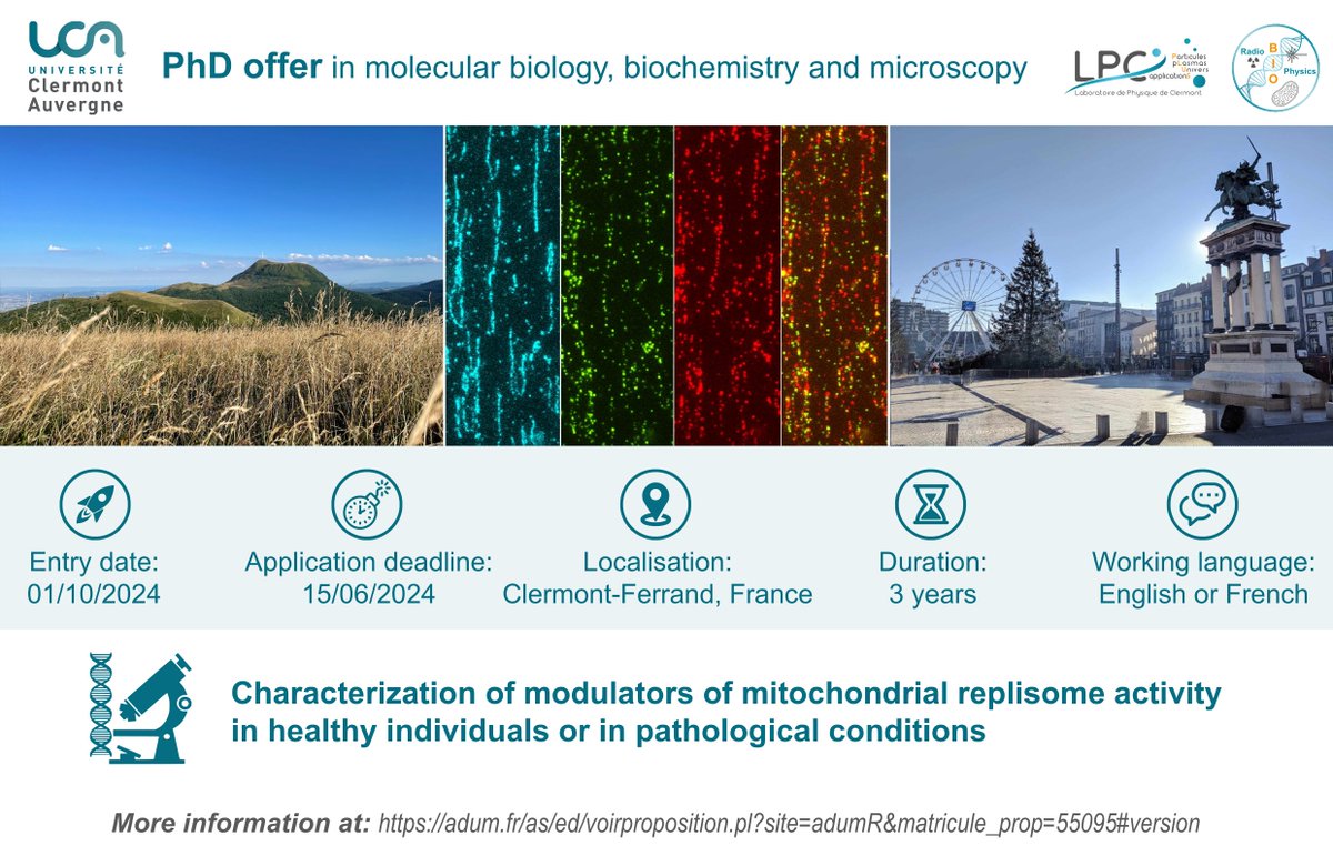 RadioBioPhysics's tweet photo. 📢 We’re hiring a PhD student/ Nous recrutons un doctorant!

3-year position to study mitochondrial DNA replication with multidisciplinary approaches including cutting-edge single-molecule techniques.

More info on the project and how to apply: https://t.co/xv0NO5MZqj

@mitojobs https://t.co/P3FKPqvZIO