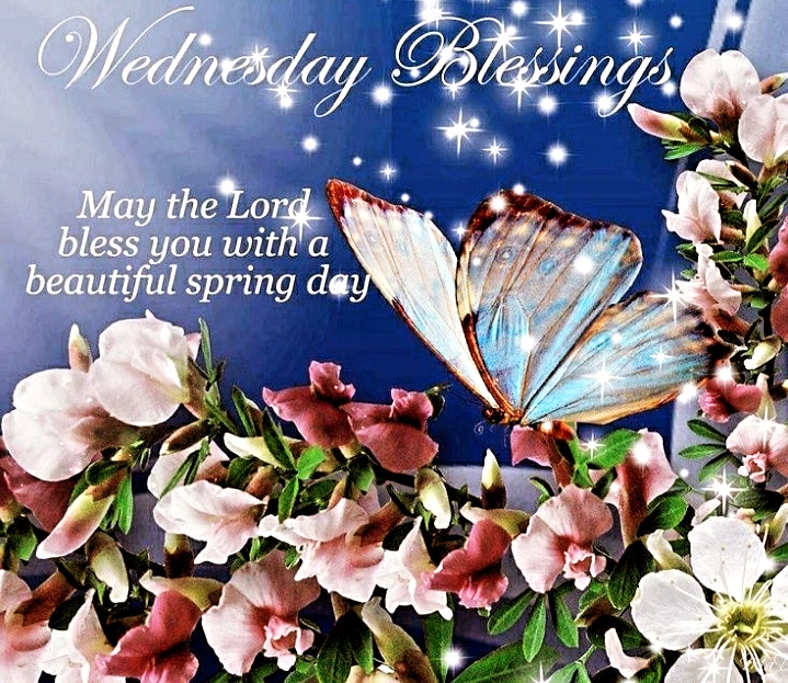Today's Daily Blessings MESSAGE Wednesday APR 24TH,24..

WE PRAY YOU ARE SEEKING GOD'S GUIDANCE EVERYDAY.. WE PRAY THE LORD WILL BLESS AND KEEP YOU SAFE FROM SATAN'S FORCES.. WE PRAY FOR THE POOR AND HOMELESS THROUGHOUT THE WORLD..
#INJESUSNAMEAMEN.
🙏👐🙌🌎🌍🏚👨‍👩‍👦‍👦👶🍞🧎‍♂️🧎‍♀️🙌👐🙏🏻