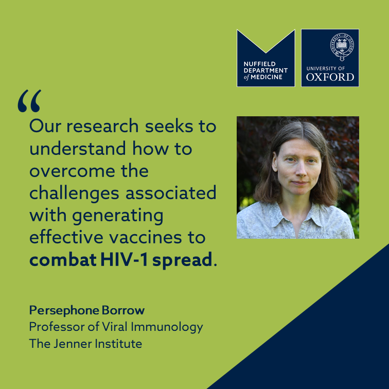 Since the beginning of the #HIV epidemic, about 40m people have died of #AIDS. Developing an effective vaccine could substantially reduce transmission rates and ultimately help combat the disease. #WorldImmunizationWeek 💉🦠 @JennerInstitute