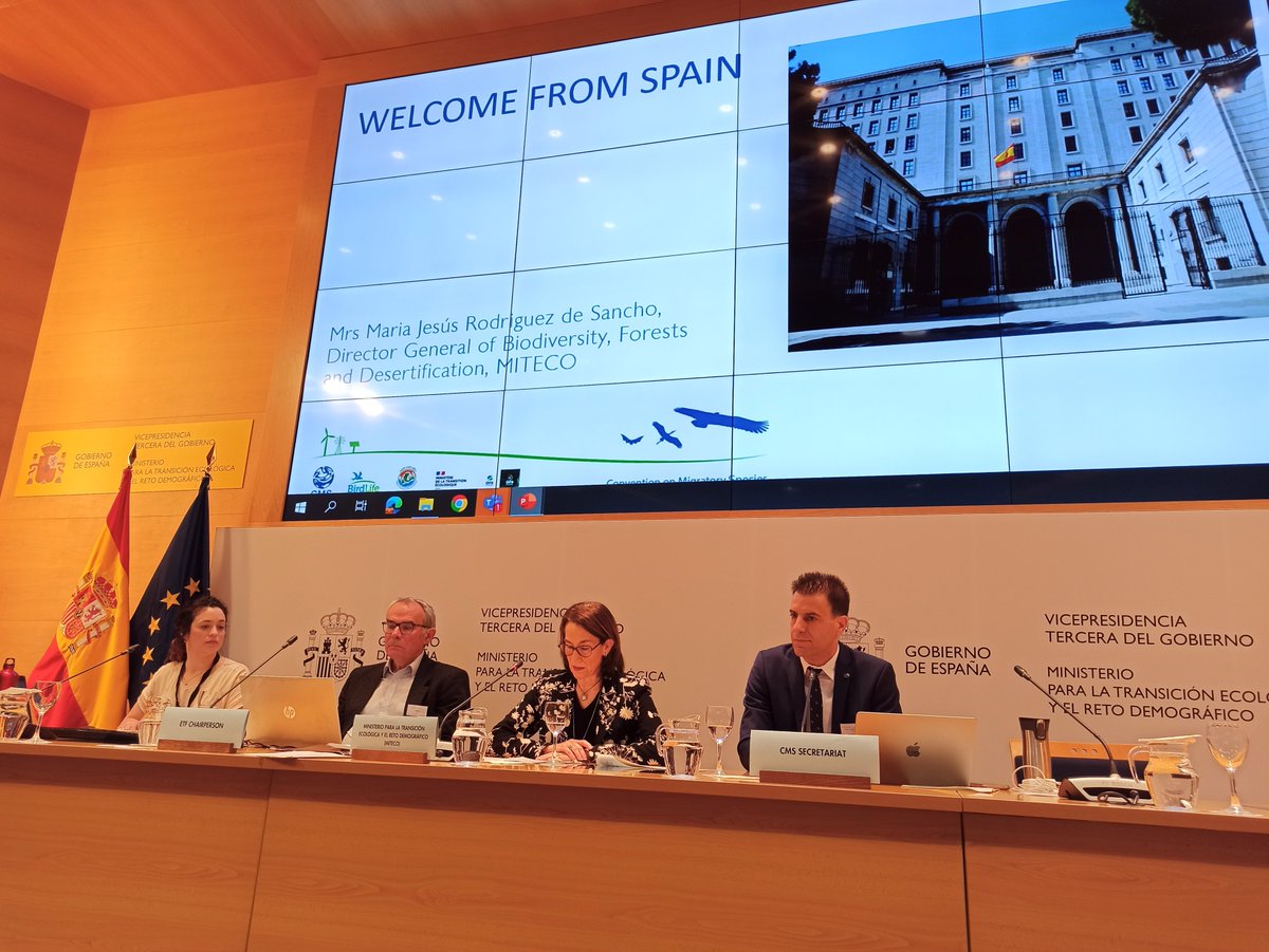 _Ivan_Ramirez's tweet photo. Muchas gracias a Maria Jesús Rodriguez de Sancho, Directora General de Biodiversidad de @mitecogob por darnos la bienvenida a España para la 7a reunión del Grupo de Trabajo de Energia y Especies Migratorias de la @BonnConvention 
#ETF #RenewableEnergy https://t.co/H01TQPMmJD