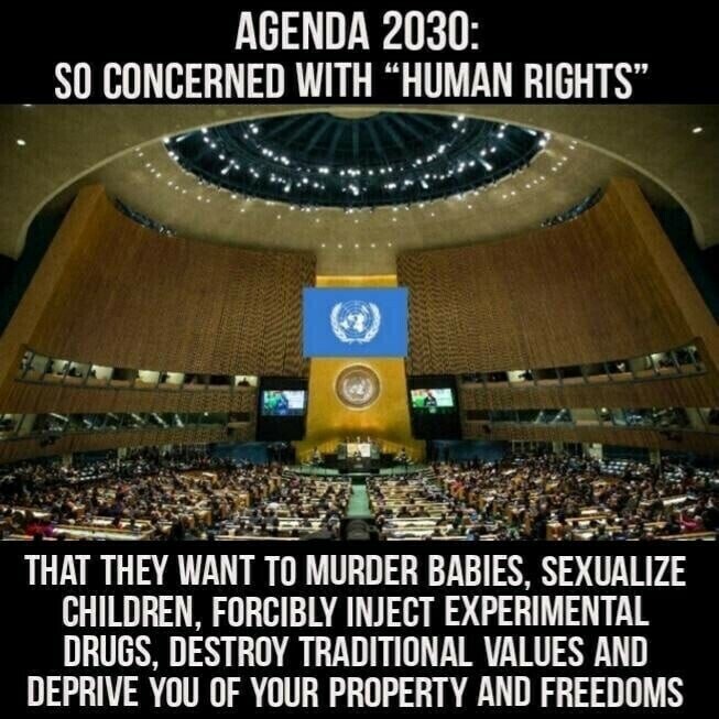 🔥Agenda 2030🔥 #Agenda2030 #WeThePeople