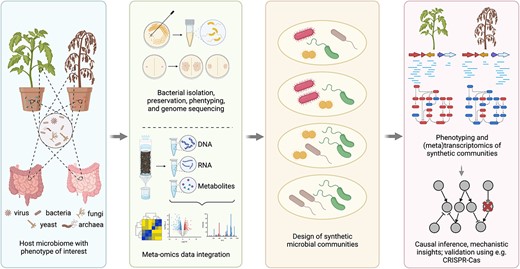 New NIOO publication: Strategies for tailoring functional microbial #syntheticcommunities, by @PaolinaGarbeva @RaaijmakersJM and others. #biodiversity #microbes #microbialcommunity doi.org/10.1093/ismejo…