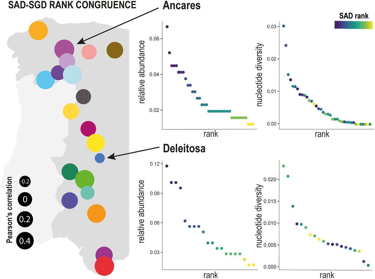 Climatic stability predicts the congruence between species abundance and genetic diversity nsojournals.onlinelibrary.wiley.com/doi/full/10.11… #biodiversity #Coleoptera #SAD #SGD @NordicOikos @WileyEcolEvol
