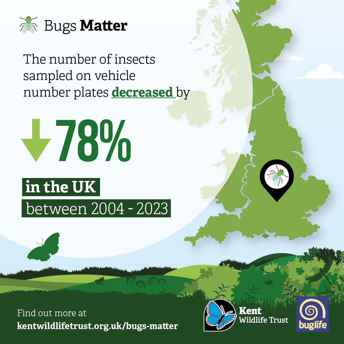 Our 2023 Bugs Matter report shows that in Kent, insect splats have dropped by 89% since 2004. This year's extended survey season begins May 1. Download the free app, record insect splats, and collect crucial data! 🌍💪 kentwildlifetrust.org.uk/news/bugs-matt… @buzz_dont_tweet @kentwildlife