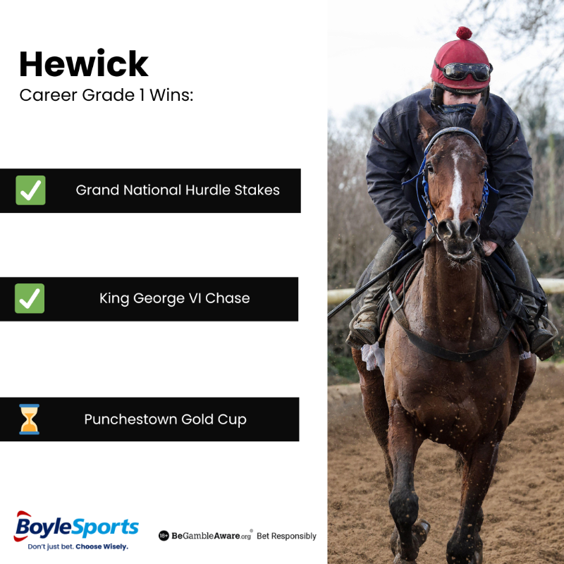 🥇 Hewick is chasing more Grade 1 glory at Punchestown. #TeamHewick | @jhanlonracing