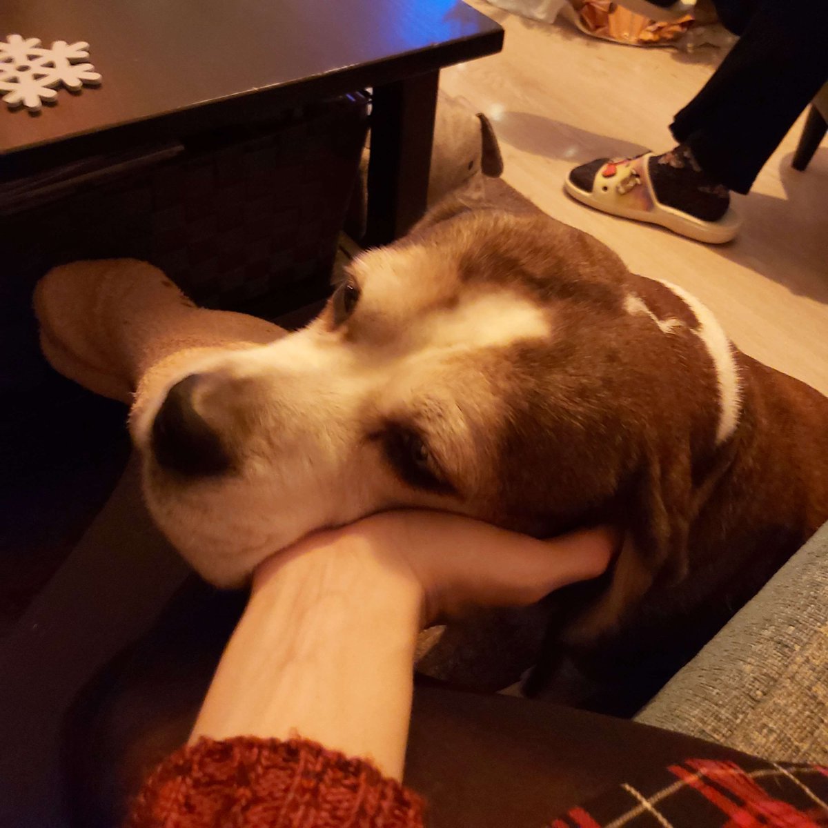 My dog Django is getting put to sleep on Friday, so i'll be taking my time to grieve. He made it past 13, and has been such a good boy, love you buddy