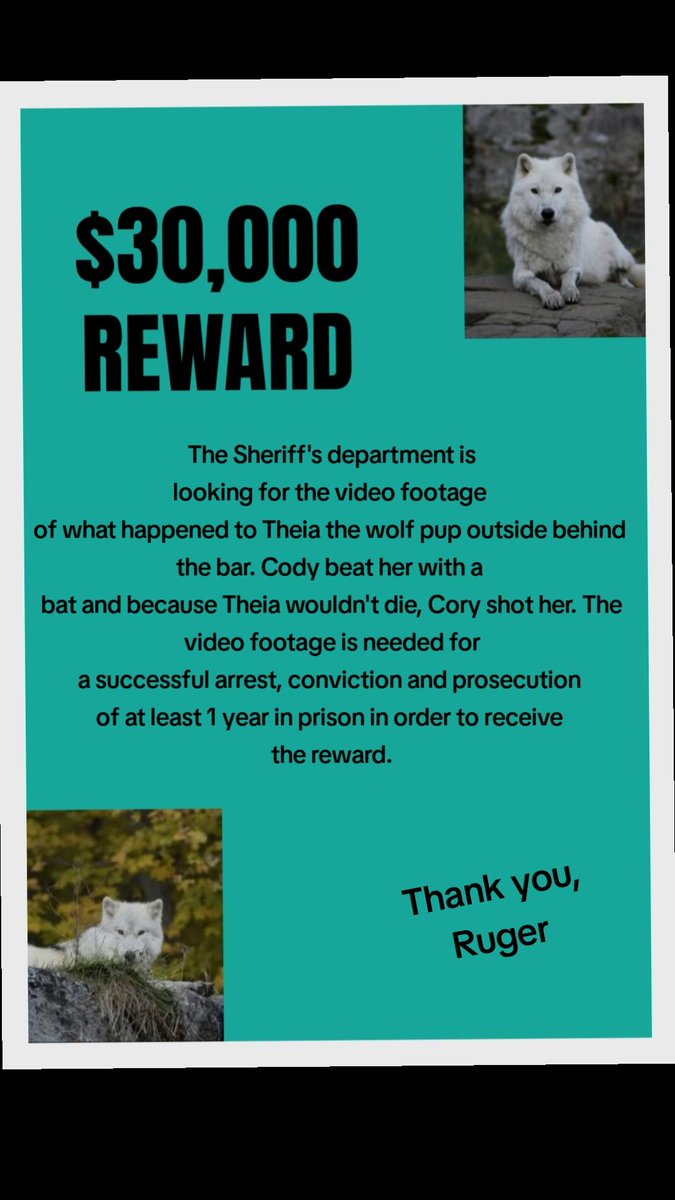 Please step forward 🙏 🙏
#CodyRoberts #justice4theia
#dog
