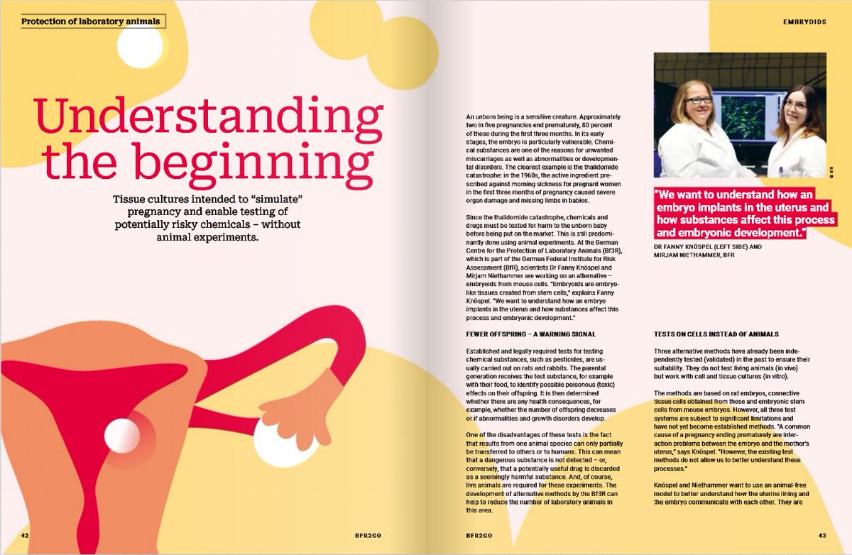 Tissue cultures intended to “simulate” pregnancy and enable testing of potentially risky chemicals – without #AnimalExperiments.

#BfR2GO explains what the German Centre for the Protection of Laboratory Animals (@Bf3R_centre) is researching: bfr.bund.de/epaper/bfr2go_…