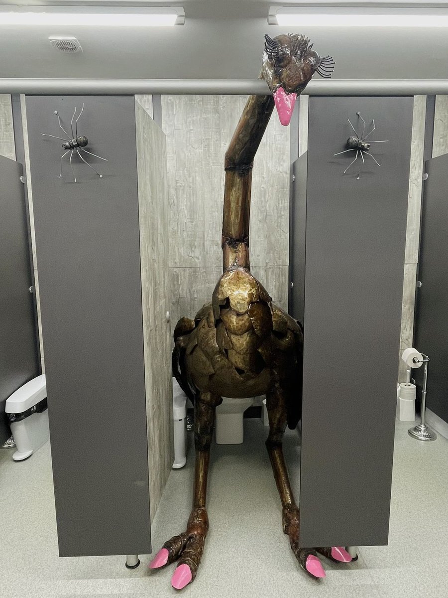 Who's seen our Ostrich Sculpture in the Ladies Toilets?? It can give you a bit of a fright when you walk in! She's a little nosy with her head peeking out of the cubicle, but she just wants to make some friends!! 🦩 #hulk #sculpture #sculptures #oswestrylife